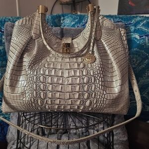 Brahmin Elise in Moonrise